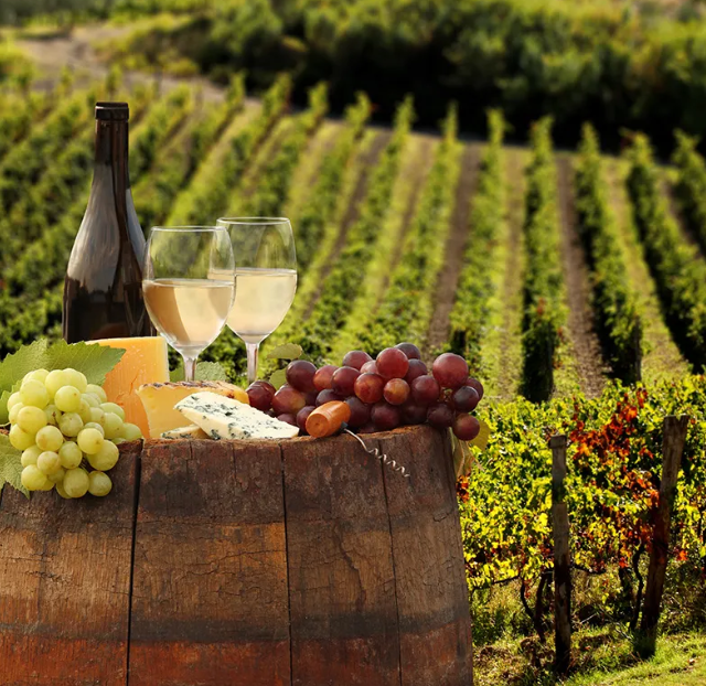 Dani – Ruta del Vino